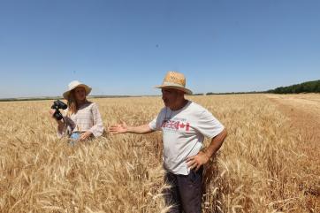 Аркадий Злочевский: Зерновой рынок РФ идёт по катастрофическому пути Аргентины
